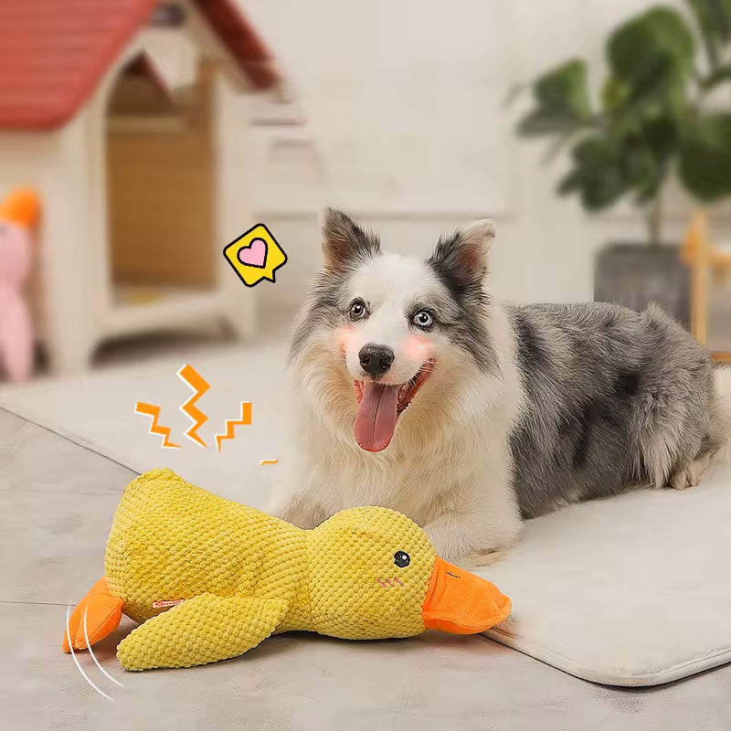Calming Plush Duck Toy photo
