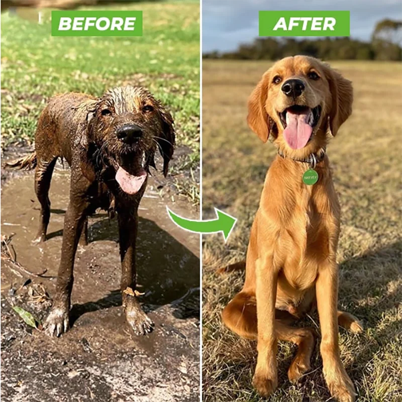 High-pressure Dog Wash Sprayer