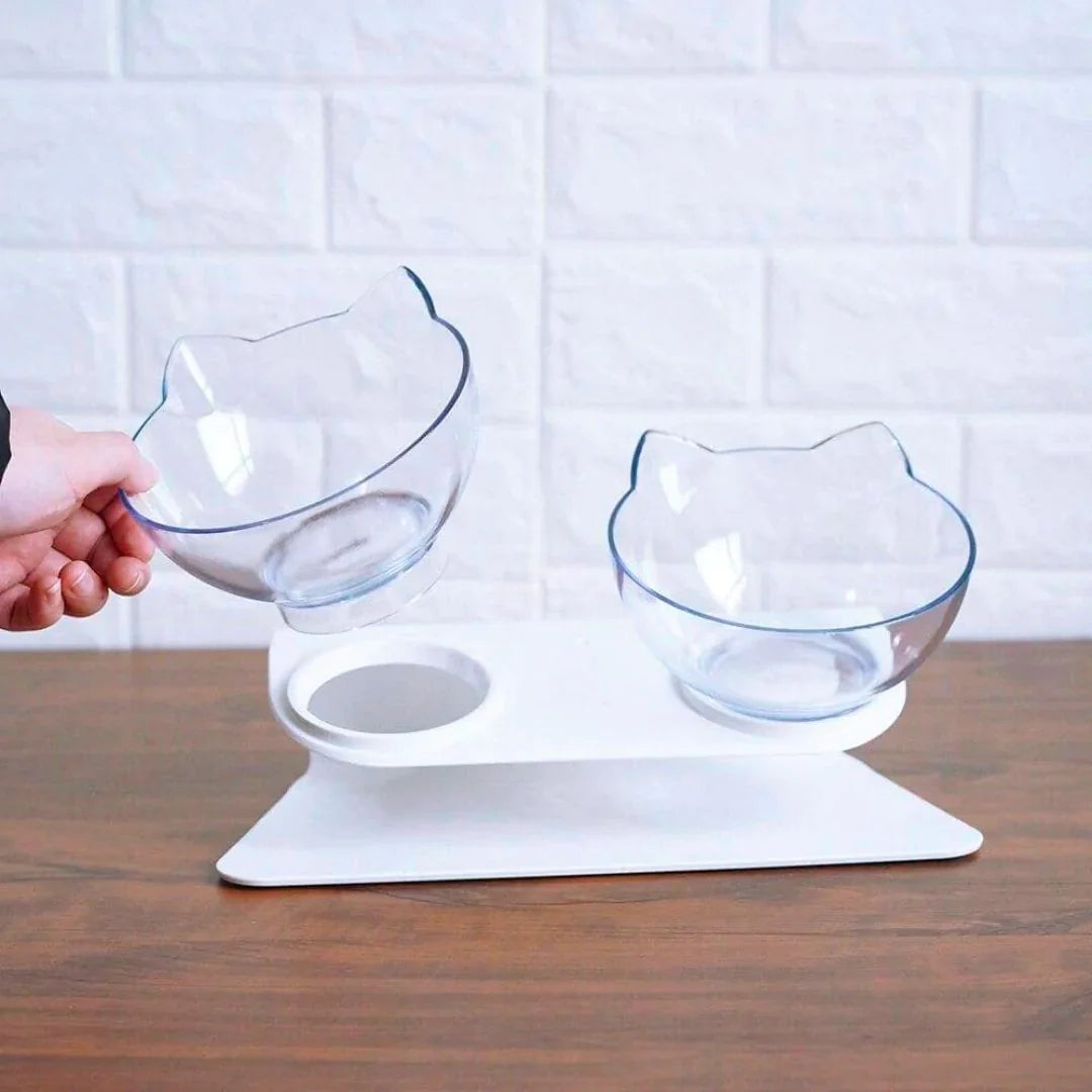 Orthopedic Anti-Vomiting Cat Feeder