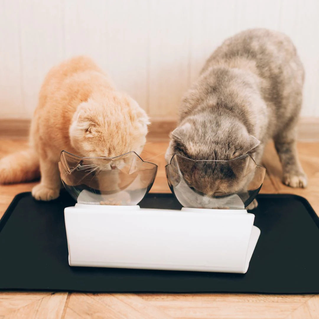 Orthopedic Anti-Vomiting Cat Feeder