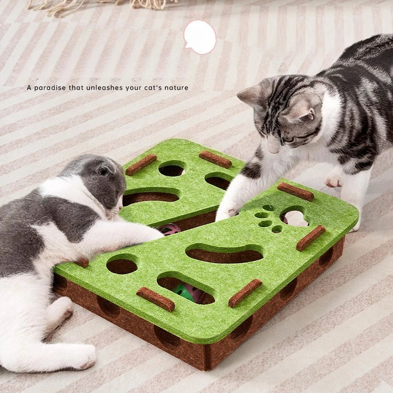 Cat Scratch Puzzle Enrichment Box