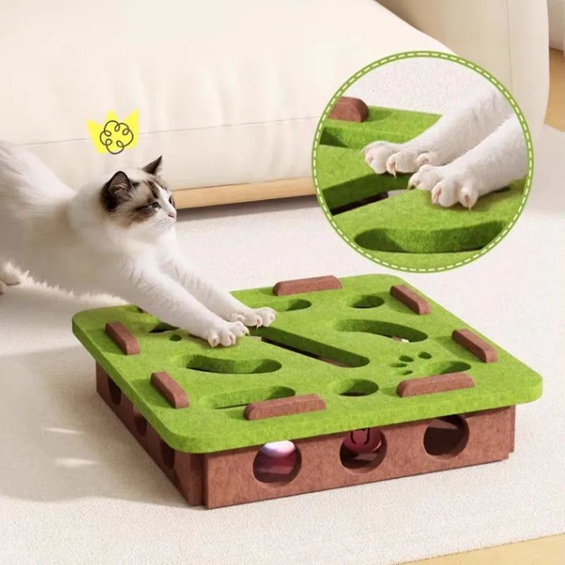 Cat Scratch Puzzle Enrichment Box