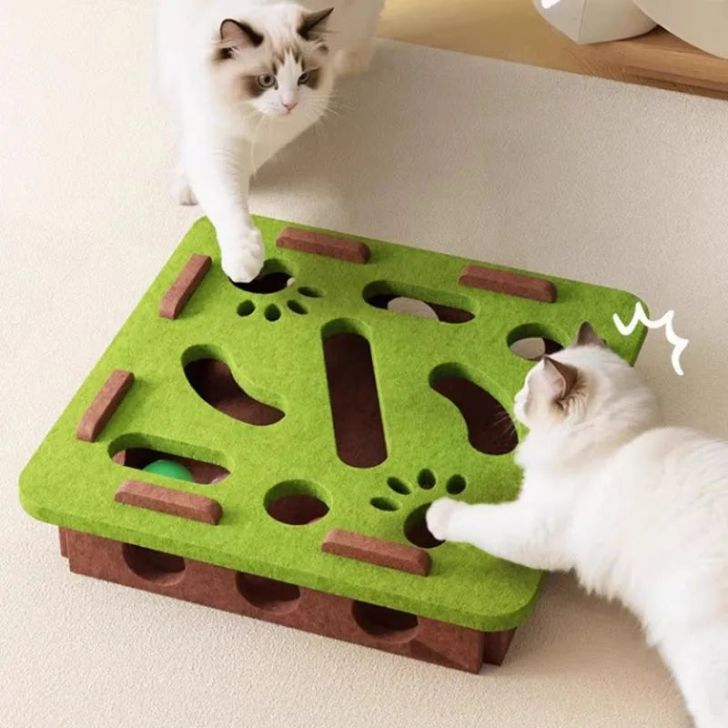 Cat Scratch Puzzle Enrichment Box