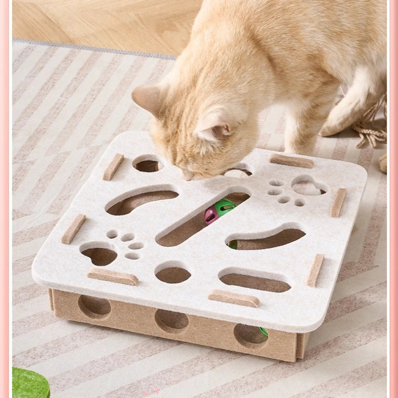 Cat Scratch Puzzle Enrichment Box