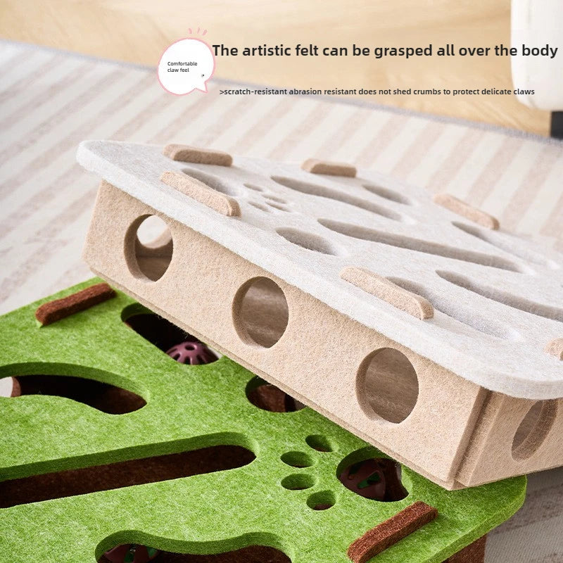 Cat Scratch Puzzle Enrichment Box